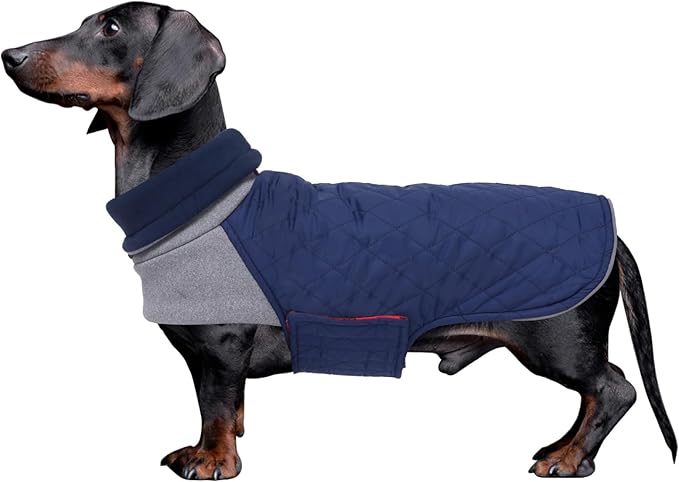 Geyecete Dachshund Coat,Dachshund Winter Coat,Warm Waterproof Windproof, High Neckine String Holes Miniature Dachshund Jacket for Small Dog-Navy-M