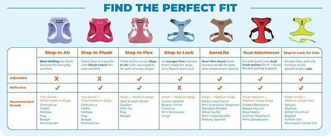 Best Pet Supplies Voyager Step-in Air Harness - All Weather Mesh, Reflective, No Pull Harness for Dogs, Cats - Secure with Hook & Loop Fastener, Buckle, Double D-Rings - Turqupise 2-Tone, M