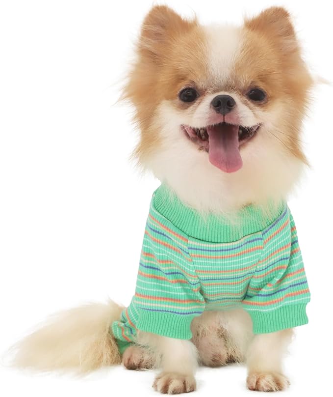LOPHIPETS Dog Pajama Onesie for Small Bichon Clothes Apparel-Green/XL