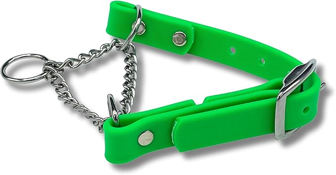 Martingale Collar for Dogs, Biothane, Stainless Steel Hardware, No Pull, Made in The USA, Professional Grade, XL, Green