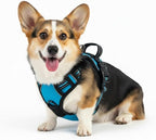 No Pull Dog Harness, Reflective Comfortable Vest Harness with Easy Control Handle Adjustable Soft Padded Pet Vest for Small to X-Large Dogs (Sky Blue, Medium (Approx Weight:16.53-36.37 LB))