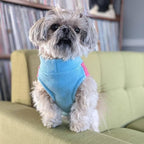 Gooby Half Stretch Fleece Vest Dog Sweater - Pink, Small - Warm Pullover Fleece Dog Jacket with D-Ring Leash for Small to Medium Dogs