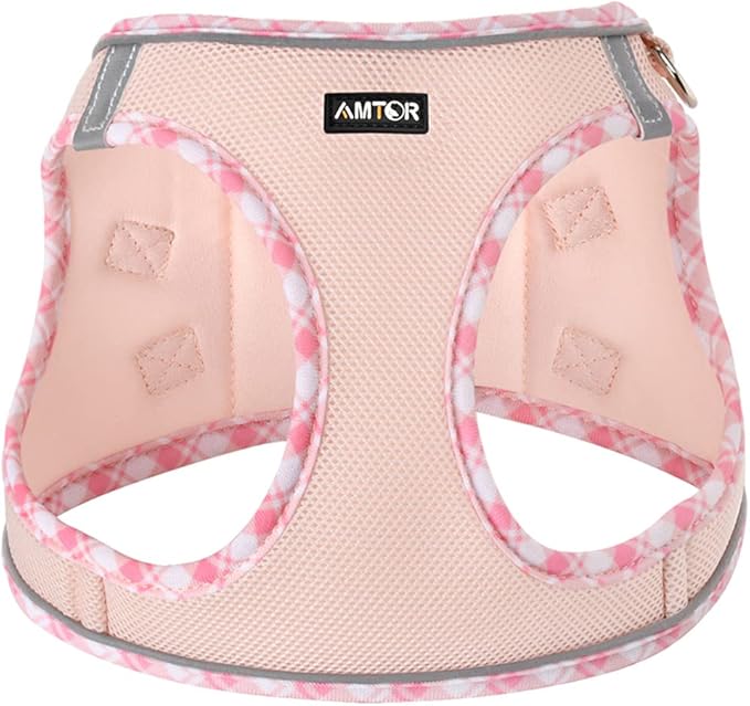 AMTOR Small Dog Harness with Leash Set, No Escape Easy Walk Puppy Harnesses for Training Walking, Step-in Reflective Soft Dogs Vest for XS S Medium Extra-Small Large Sized Dog(Pink,S)
