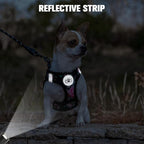 BEAUTYZOO Step in Dog Harness and Leash Set, Floral Pattern Reflective Dog Harness No Pull No Choke Puppy Harness for XXS XS S Dogs Cats, Soft Padded Mesh Vest Harnesses for Girl and Boy Pets