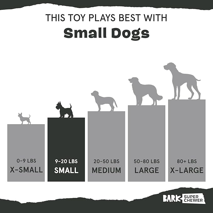 Barkbox Green Chew Leaf Dog Toy for Small Dogs – 2-in-1 Design with Mixed Textures and Surprises, Perfect for Tough Chewing and Playful Pups