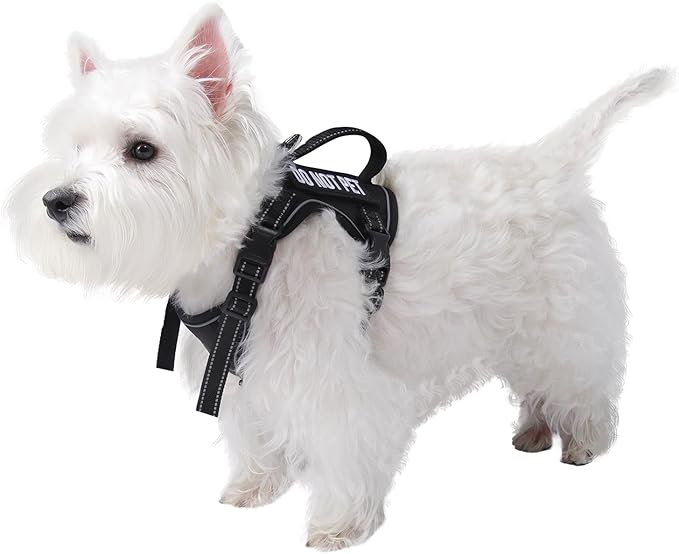 Tactical Dog Harness for Small Dog - Reflective Puppy Pet Vest No Pull Military Service Dog Vest with Vertical Handle XS Dog Harness for Outdoor Training