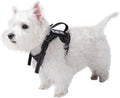 Tactical Dog Harness for Small Dog - Reflective Puppy Pet Vest No Pull Military Service Dog Vest with Vertical Handle XS Dog Harness for Outdoor Training