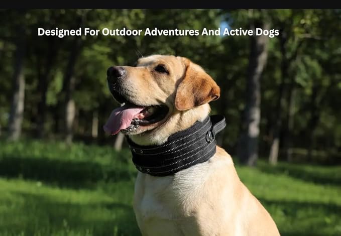 Protective Tactical Dog 4" Wide Collar for Large Dogs – Heavy-Duty Adjustable Nylon Collar with Control Handle, Quick-Release Metal Buckle & D-Ring for Training, Play & Outdoor Safety