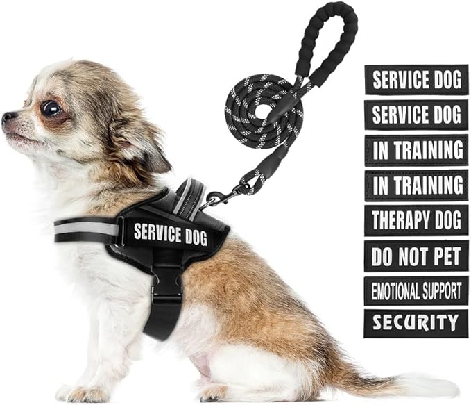 Service Dog Vest Harness and Leash Set, Animire in Training Dog Harness with 10 Dog Patches, Reflective Dog Leash with Soft Padded Handle for Small, Medium, Large, and Extra-Large Dogs (Black, XS)