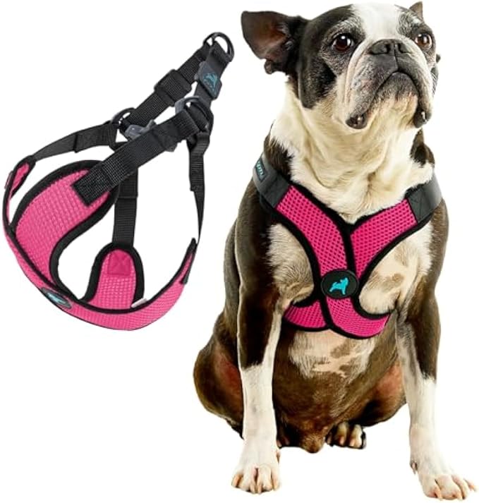 Gooby Comfort X Step in Lite Dog Harness - Choke Free, Escape Free with Light Breathable Mesh - Step in Dog Harness for Small Dogs Only - Quick Release Buckle, Metal D-Rings - Flamingo Pink, X-Small