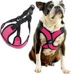 Gooby Comfort X Step in Lite Dog Harness - Choke Free, Escape Free with Light Breathable Mesh - Step in Dog Harness for Small Dogs Only - Quick Release Buckle, Metal D-Rings - Flamingo Pink, X-Small
