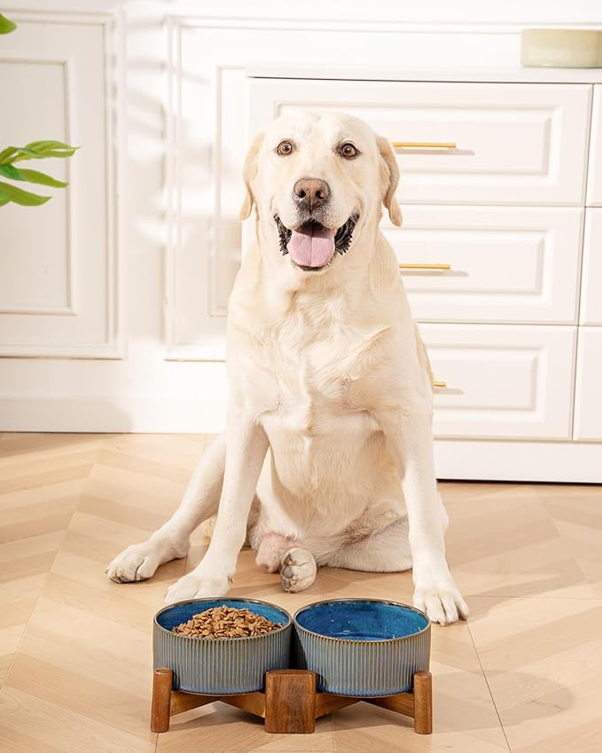 Getstar Ceramic Dog Bowls Set with Acacia Wood Stand, 3.5 Cups Pet Bowls Set of 2 for Medium Dogs, Cute Dog Food Bowl, Cat Bowls