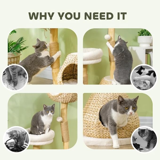 Cat Tree for Indoor Cats with Wooden Scratching Posts, Cat Condo, Washable Cat Beds & Toy Balls – Natural Cat Tower for Small Cats