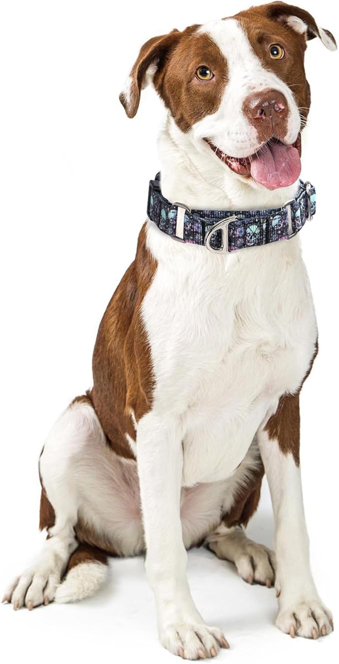 Martingale Collar for Dogs - Reflective Nylon with Padded Comfort & Quick Release Buckle - Skull Design, No Slip Choke Heavy Duty Collar for Safe Training, Walking & Nighttime Use S