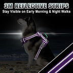 BARKBAY No Pull Dog Harness Large Reflective Dog Harness with Front Clip and Easy Control Handle for Walking Training Running with ID tag Pocket(Purple,M)