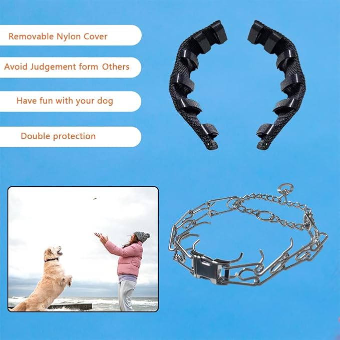 Dog Chain Collar, with Design Safety Buckle, Stainless Steel Durable Chewy for Small Medium Large Dog (Medium/Large (18-23" Neck, 3.0mm), Black)