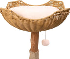 Armarkat AMNI Cat Tree: The All-in-One Play and Rest Station