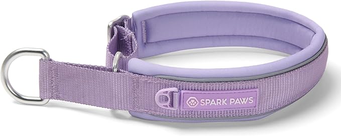 Spark Paws Martingale Dog Collar – Cushioned Slip-On Training Collar, Heavy Duty, Safety-Tested No-Buckle Collar for Medium & Large Dogs - Lilac - C