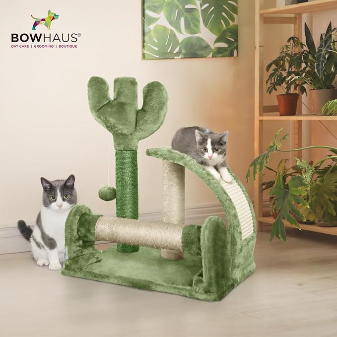 Cactus Cat Tree, Cactus Cat Tower with Thickened Base, Green Cat Tower for Indoor Small Cats, Cute Cactus cat Tree Tower w/Scratching Post and Interactive Toy, 20-Inch