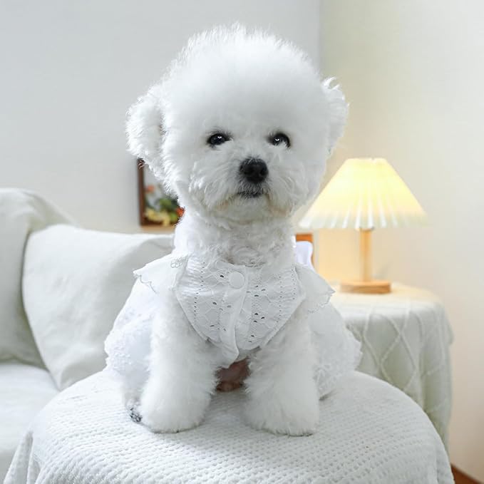 Fashion Sweet Puppy Dog Blingbling Princess Skirt Pet Dog Lace Cake Camisole Tutu Dress K-White S