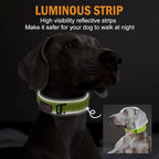 HYDEME Tactical Dog Collar, Alpine Loop Adjustable Military Training Nylon Dog Collars with Handle and Reflective for Small Medium Large Dogs, with Airtags Protective Case & Patches.(L,GrassGreen)