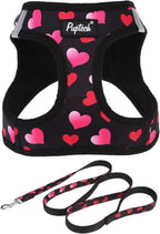 PUPTECK Dog Harness and Leash Set for Small Medium Dogs No Pull Step-in Soft Mesh Puppy Cat Vest Valentine Harnesses Reflective at Night, Black&Pink Heart, S