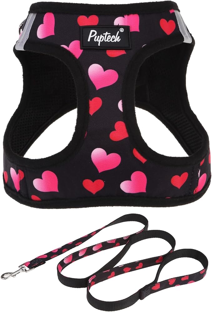 PUPTECK Dog Harness and Leash Set for Small Medium Dogs No Pull Step-in Soft Mesh Puppy Cat Vest Valentine Harnesses Reflective at Night, Black&Pink Heart, L
