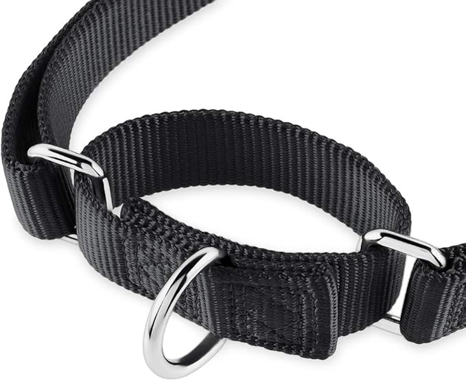 Hyhug Martingale Dog Collar Medium Black |Escape - Proof Heavy Duty Nylon Durable No Slip, Ideal for Training & Daily Walks