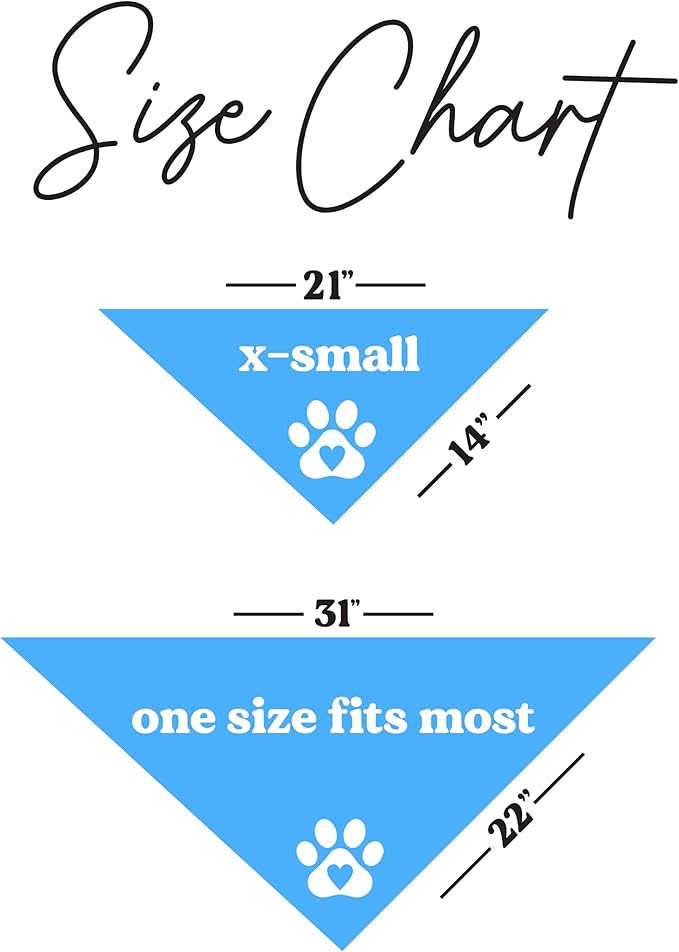 That's My Bro Dog Bandana | 100% Cotton Adjustable Triangle | Made in USA | Baseball| Sports | Biggest Fan | Game Day | Turquoise, One Size (535)