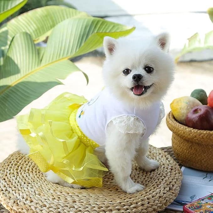 Cute Pet Frilly Dress for Dogs and Cats - Spring and Summer Fruit-Themed Party Gown for Small, Medium, and Large Breeds