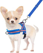 SlowTon No Pull Small Dog Harness and Leash Set, Puppy Soft Vest Harness Neck & Chest Adjustable, Reflective Lightweight Harness & Anti-Twist Pet Lead Combo for Small Medium Dogs (DB-Front Clip, S)