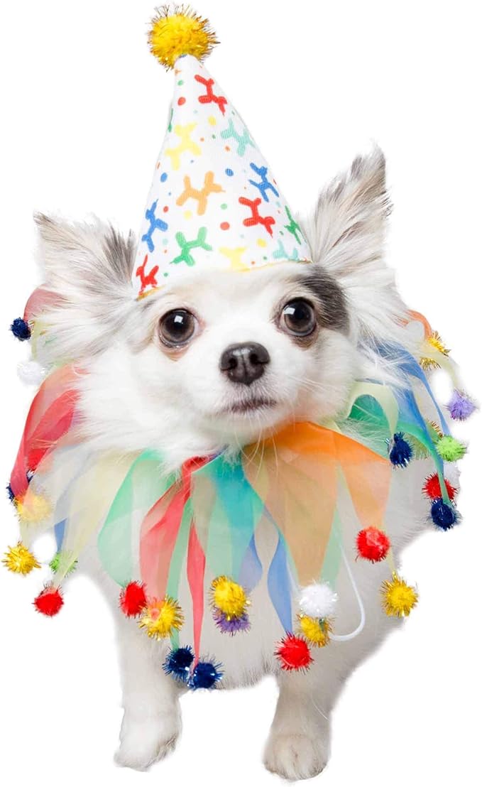 Pet Krewe Dog Clown Costume Happy Birthday Hat & Collar Outfit | 1st Bday Party, National Cat Day, Photo Shoots & Celebrations | Doggie & Puppy Clothes | Ideal Gift for Small, Medium & Large Pets
