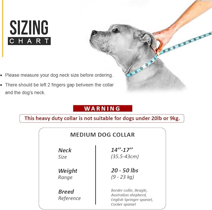 Protective Tactical Dog 4" Wide Collar for Medium Dogs – Heavy-Duty Adjustable Nylon Collar with Control Handle, Quick-Release Metal Buckle & D-Ring for Training, Play & Outdoor Safety