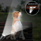 PaiPaitek Shock Collar Replacement Strap for Most of Training Collar, 3/4 Inch Dog Collar Replacement for Shock and Bark Collar, Adjustable Reflective TPU Collar Strap - 2 Pack