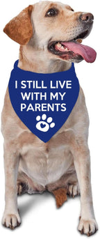 I Still Live with My Parents Dog Bandana Summer Funny Dog Bandana Puppy Bandanas for Dogs Triangle Photo Prop Pet Scarf Accessories for Dog Lovers Gift