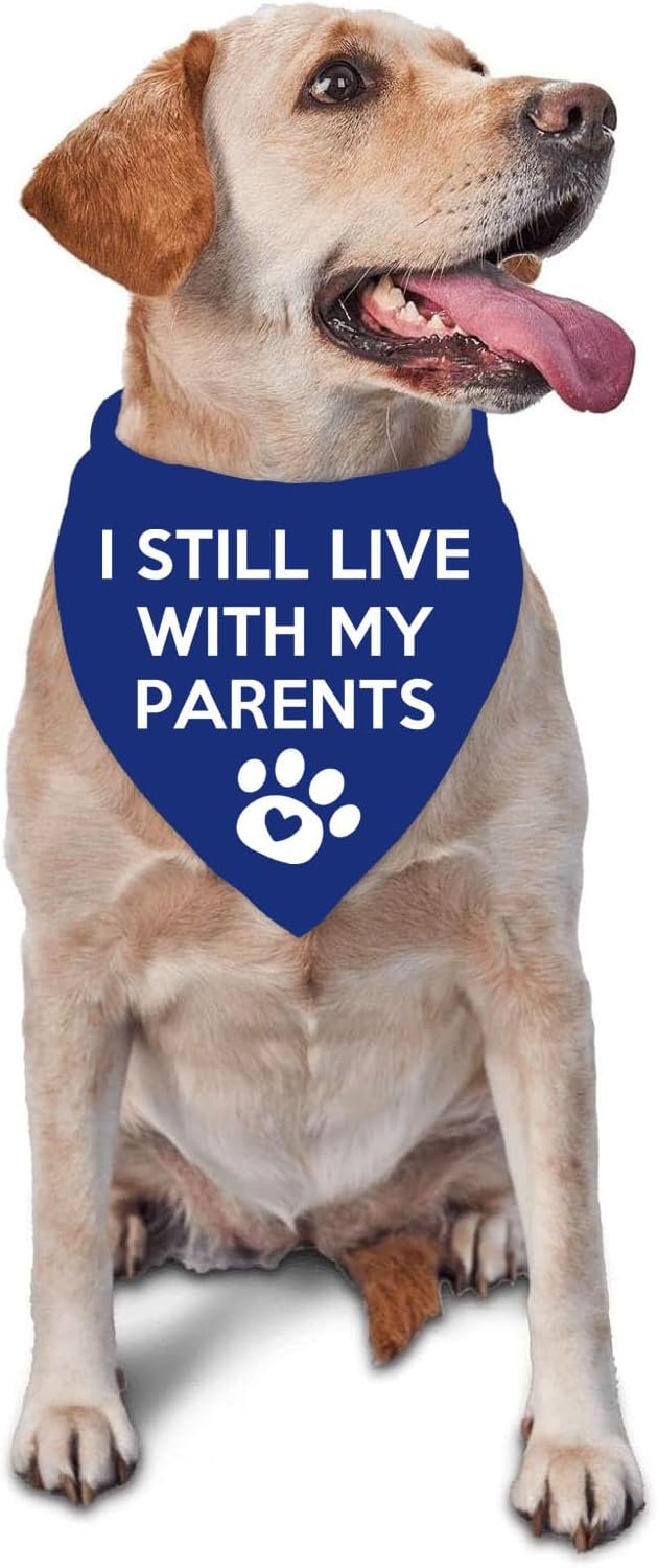 I Still Live with My Parents Dog Bandana Summer Funny Dog Bandana Puppy Bandanas for Dogs Triangle Photo Prop Pet Scarf Accessories for Dog Lovers Gift
