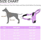 PUPTECK No Pull Dog Harness Small Sized Dog, Adjustable Reflective Pet Vest Harness with Bungee Handle, Escape Proof No Choke Harness for Small Dogs Walking Training, Purple S