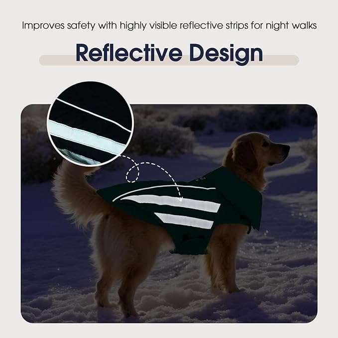 IECOii Warm Dog Coat - Reflective Waterproof Dogs Jackets Windproof Snow Jacket for for Deep Chest Breeds, Beagle & Corgi, Adjustable Warm Vest for Walking, Camping, Hiking, Green, Sizes L