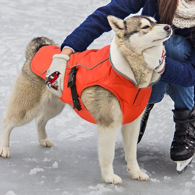EMUST Dog Coat for Winter, Cozy Winter Jackets for Small/Medium/Large Dogs, Solid Color Dog Apparel for Cold Weather with Fleece Lining, Orange, XXXL