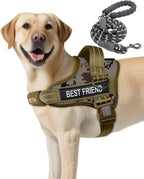 AUROTH Dog Harness and Leash Set, Soft Padded Service Dog Vest with 5.25FT Dog Leash, No Choke, Easy On Pet Vest, Adjustable Reflective No Pull Dog Harness for Large Dogs, Easy Walking and Training