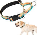 KOOLTAIL Martingale Collar for Dogs for Small Medium Large Dogs, Soft Padded Nylon No Pull Dog Collar with Buckle, Adjustable No Slip Heavy Duty Durable Puppy Training Collar for Boys Girls, Orange M