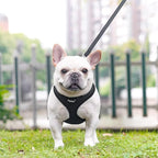 PUPTECK Soft Mesh Dog Harness and Leash Set Pet Puppy Cat Comfort Padded Vest No Pull Harnesses, Solid Black, XS