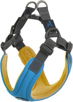 Gooby Escape Free Memory Foam Harness - Blue, Small - No Pull Step-in Dog Harness with Four Point Adjustment for Small to Medium Dogs