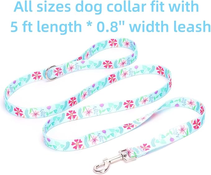Dog Collar with Leash Airtag Holder Case Set - Dog Collars for Male Female Boy Girl Puppy X-Small Small Medium Large Dogs Walking Running Training - Verdure Daisy/S
