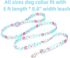 Dog Collar with Leash Airtag Holder Case Set - Dog Collars for Male Female Boy Girl Puppy X-Small Small Medium Large Dogs Walking Running Training - Verdure Daisy/M