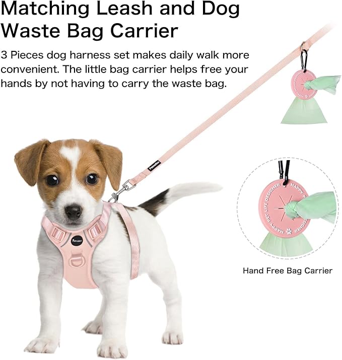 Petmolico Dog Harness for Small Dogs, Cute Harness Vest with Two Leash Clips and Soft Handle, Reflective Easy Walk Puppy Vest - Pink, X-Small