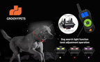 2640 Ft Remote Training Collar with Dog Locator Light, IPX7 Waterproof Rechargeable E-Collar with Humane Beep, Vibration, Static Modes, Fits 8-120lbs Dogs