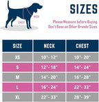 PHOEPET 2019 No Pull Dog Harness Medium Reflective Front Clip Vest with Handle,Adjustable 2 Metal Rings 3 Buckles,[Easy to Put on & Take Off](M, Blue)