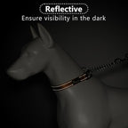 Plutus Pet Martingale Dog Collar with Stainless Steel Chain and Reflective Nylon, Adjustable No Pull Training Collar, for Small Medium, and Large Dogs, Orange, M