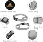 Plutus Pet Reflective Martingale Collar with Buckle - Durable and Adjustable Training Collar for No Pulling, Dog Choker Collar for Small Medium Large Dogs, Gray, M